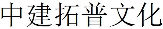（湖北）武昌 中建拓普文化